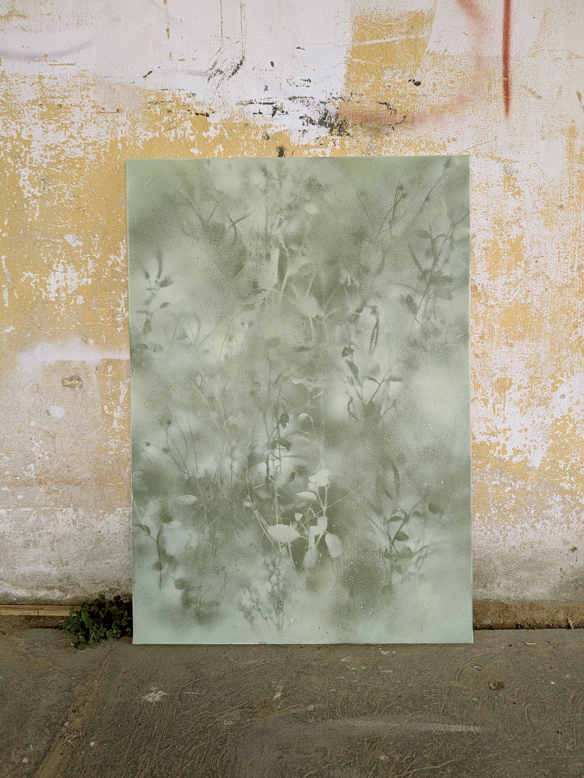 a large, square-shaped piece of paper or canvas with a greenish-gray, textured pattern or design on it, set against a weathered, yellow-painted wall.